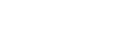 Octik AI Lab